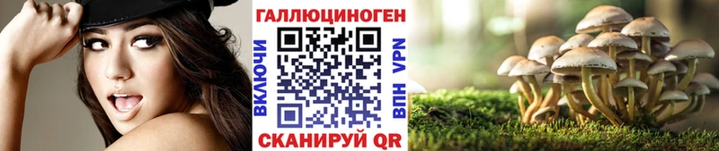 hydra ссылка  Сыктывкар  Псилоцибиновые грибы мицелий 
